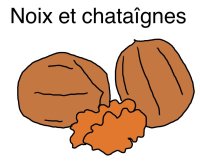 dessin%20NOIX%20CHATAIGNES