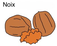 dessin%20NOIX%20