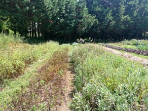 IMG_20250719_152311