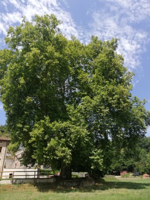 IMG_20250719_143942